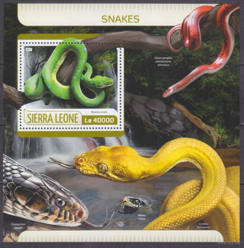 2017 Сьерра-Леоне 8569/B1242 Рептилии / Змеи 11,00 евро