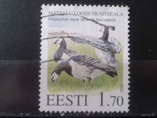 Эстония 1995 Птицы