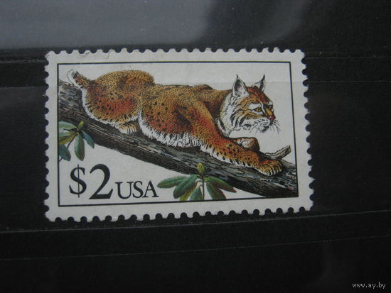 Марка - США, фауна дикие кошки рысь