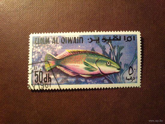 Умм-эль-Кайвайн 1967 г.Рыбы Персидского залива.Скарус -рыба попугай./11а/