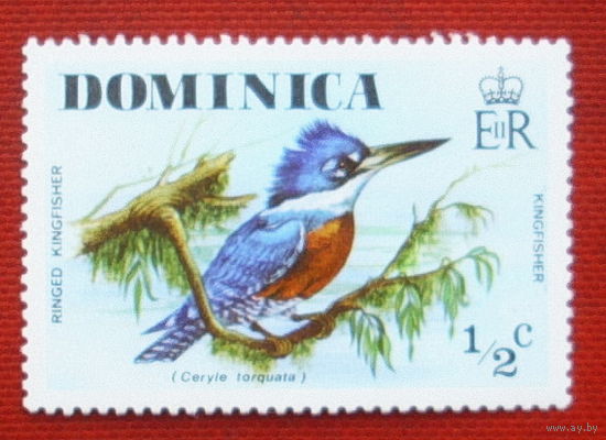Доминика. Птицы. ( 1 марка ) 1976 года. 3-18.