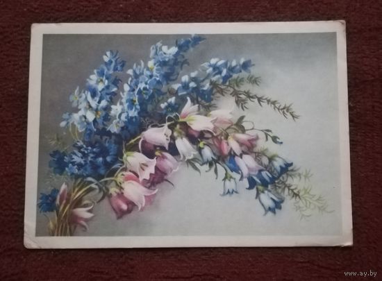 Почтовая карточка "Полевые цветы" подписанная 1954г.