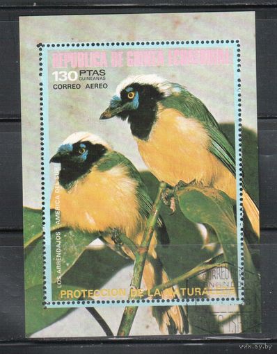 Гвинея Экваториальная-1976(Мих.Бл.232) , гаш. Фауна, Птицы,