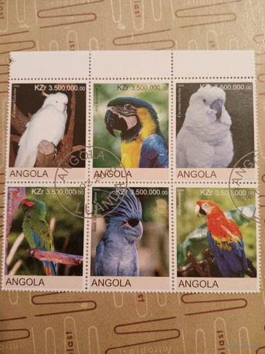 Ангола 2000. Фауна. Птицы. Попугаи