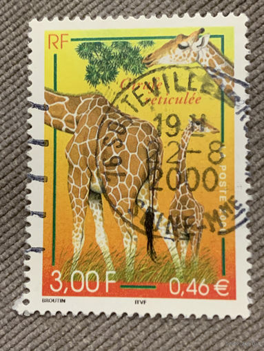 Франция 2000. Жираф. Марка из серии