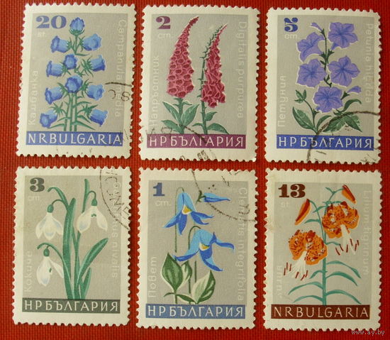 Болгария. Цветы. ( 6 марок ) 1966 года.