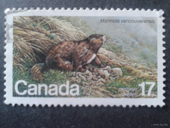 Канада 1981 фауна