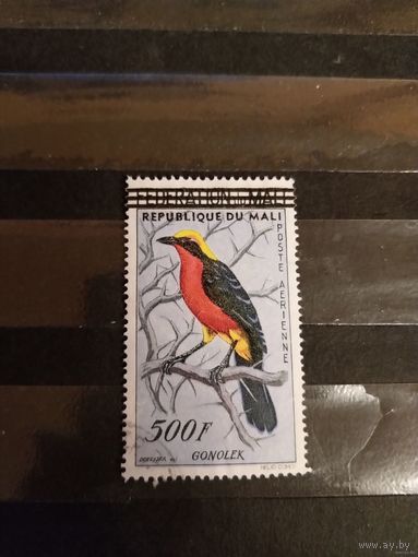 1960 Мали фауна птица дорогая концовка ( 3-13)