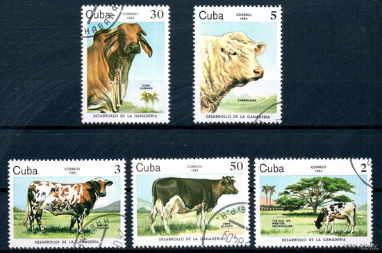 Фауна Коровы Куба 1984 год серия