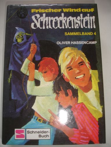 Книга на немецком языке Ужастики приключения подростков Увлекательный роман