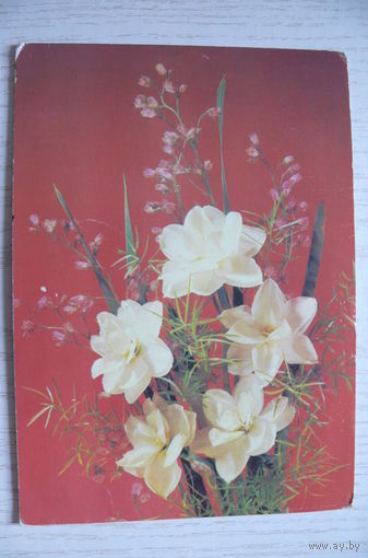 Дергилев И., Цветы; 1989, подписана (+марка 1976).