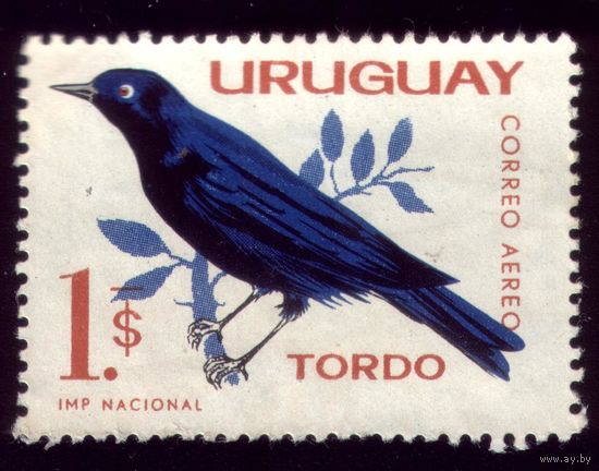 1 марка 1962 год Уругвай Ворона 945