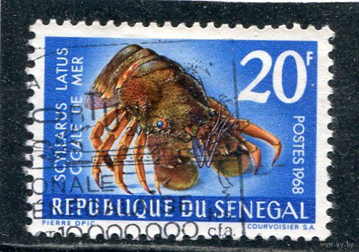 Сенегал. Морская фауна
