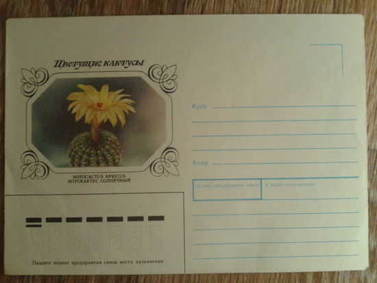 1983 не маркированный конверт Нотокактус