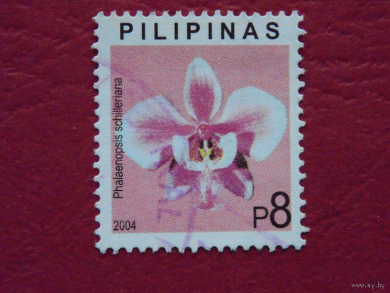 Филиппины  2004г. Цветы.