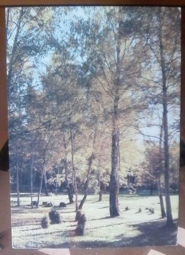 1987 год Осенний парк