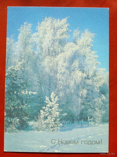 С новым годом! Чистая. 1990 года. Фото Дорожинского. 1806.