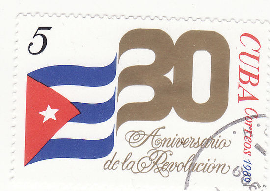 30-я годовщина Революции 1989 год