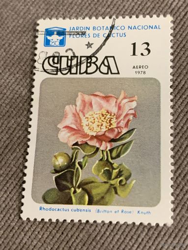 Куба 1978. Цветы. Rhodocactus cubensis. Марка из серии