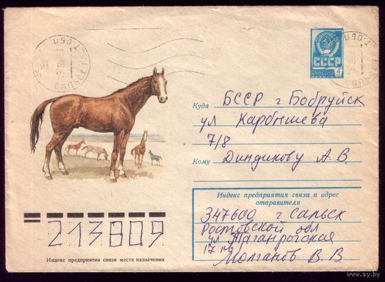 Лошадь донской породы 76-641