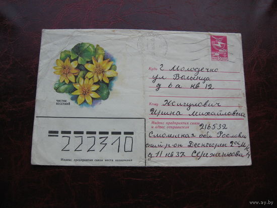 Конверт цветок чистяк весенний, марки СССР, штамп Молодечно