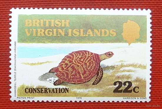 Британские Виргинские острова. Фауна. Черепаха. ( 1 марка ) 1979 года. 3-20.