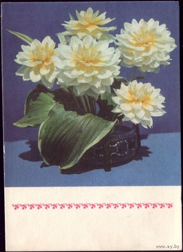 1971 год В.Суханов Цветы