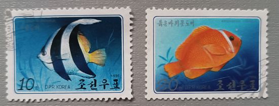 Рыбы. Кндр, серия из 2-х марок
