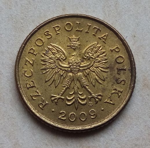 1 грош 2009 год.