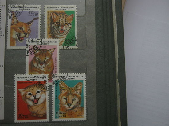 Марки - Мадагаскар 1988 фауна дикие кошки 5 марок и блок