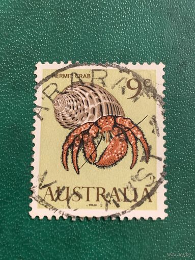 Австралия. Hermi Crab