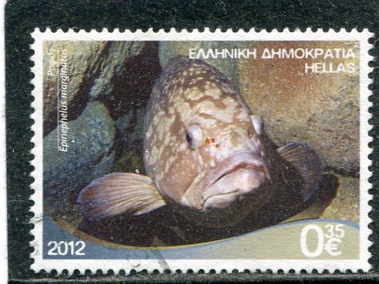 Греция. Морская фауна. Темный групер