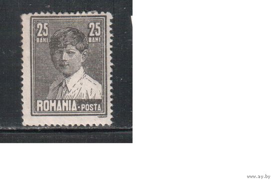 Румыния-1928, (Мих.320)  * , Стандарт,  Король Михаил I, без ВЗ