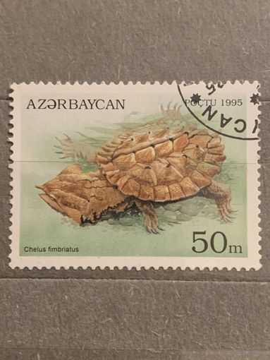 Азербайджан 1995. Черепахи. Chelus fimbriatus