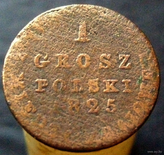 1 грош 1825 IB