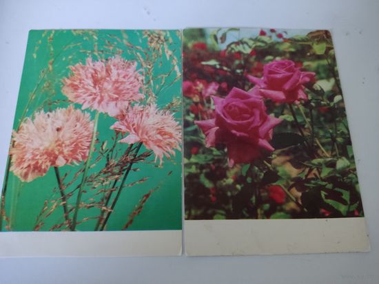 2 открытки фотохудожника И.Крапивницкого