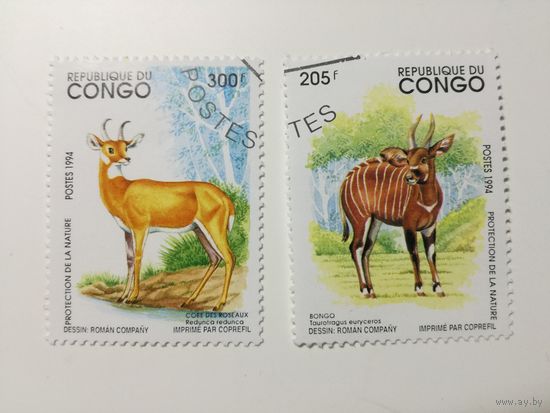 Конго 1994. Животные. Фауна