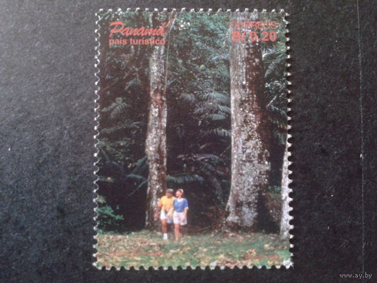 Панама 1998 туризм, деревья