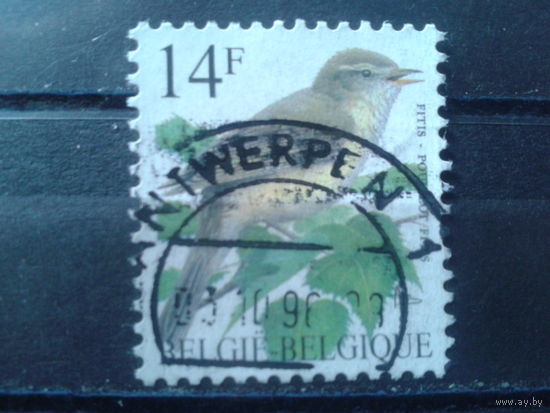 Бельгия 1995 Стандарт, птица 14 франков