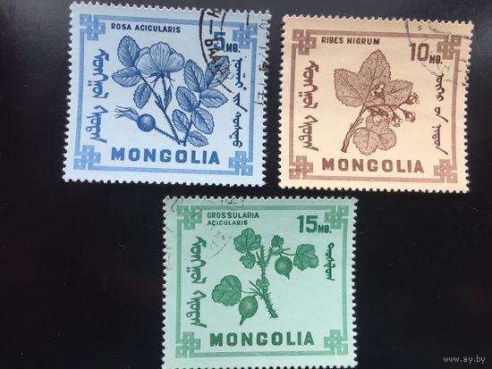 Монголия 1968 год. Ягоды