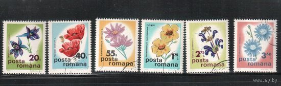 Румыния-1975, (Мих.3285-3290) гаш.  , Флора, Цветы, (полная серия)