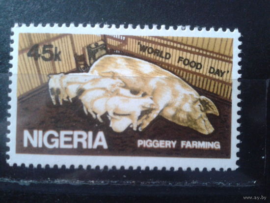 Нигерия 1981 Свиньи**