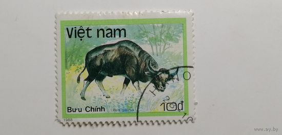 Вьетнам 1988. Животные