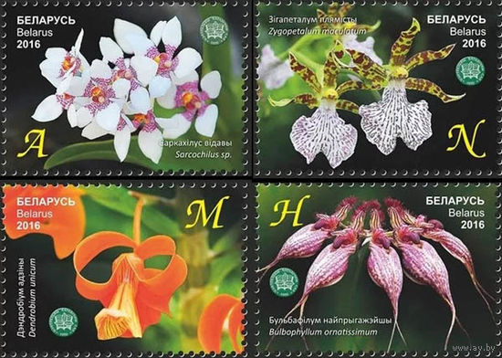 Беларусь 2016  Орхидеи