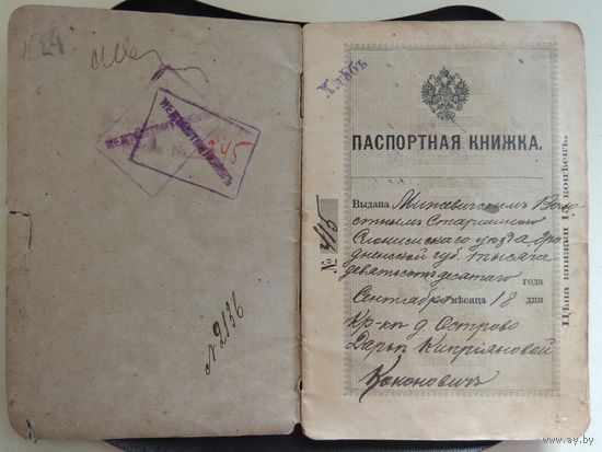 Паспортная книжка, Слонимский уезд, Гродненская губерния, 1910 г.