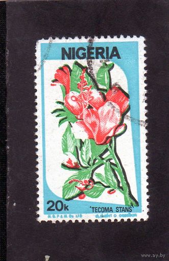 Нигерия.Ми-479. Цветы.Tecoma stans. Серия: Культура, природа и экономика