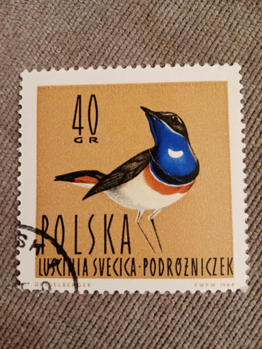Польша 1964. Птицы. Luscivia Svecica