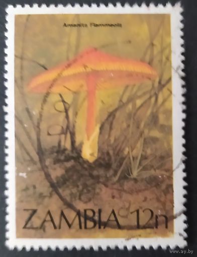 Замбия 1984 Грибы. 1 из 4