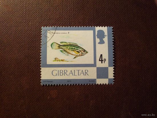 Гибралтар 1977 г.Серый губан./44а/