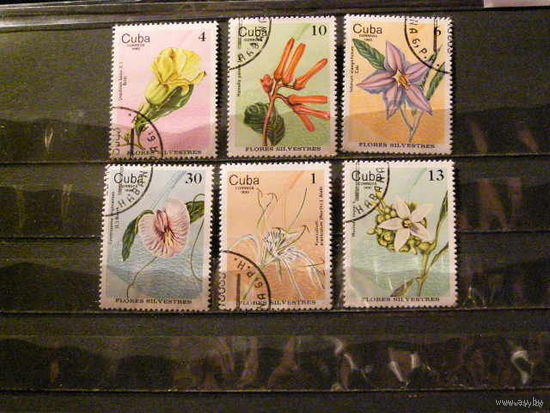 Куба флора 1980 Архидеи